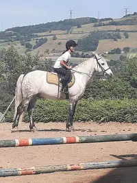 Centre Equestre du Pilat / Ecurie Chardon