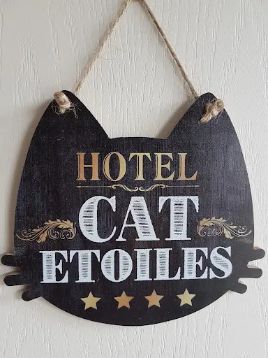 Co Coon Cat Hôtel Pour Chats