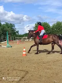 Ecurie Epo Vida