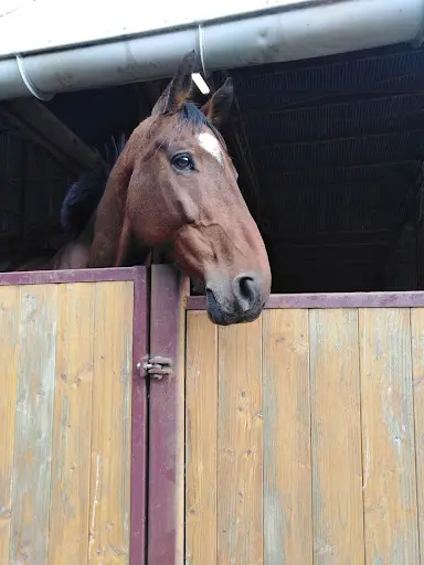 l'Ecurie des Vents