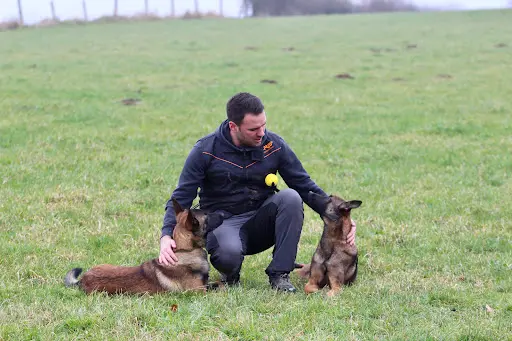 Edouard Fremont Education-rééducation Canine