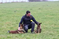 Edouard Fremont Education-rééducation Canine