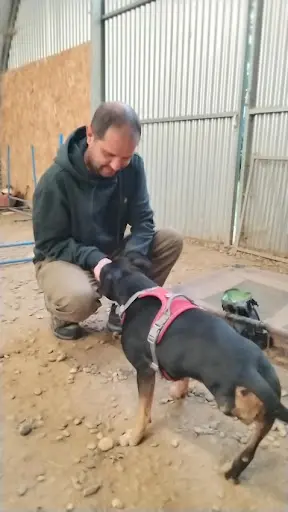 Yann Éduc 42 Educateur Canin Comportementaliste