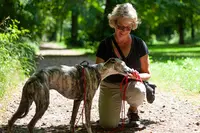 Un Amour de Chien, Éducation et Comportement Canin Hauts de Seine (92)