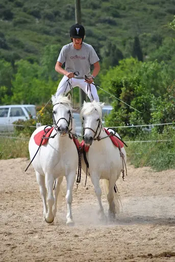 Domaine Equestre de Maruejols