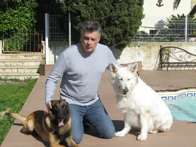 K9 Consult - Éducateur Canin