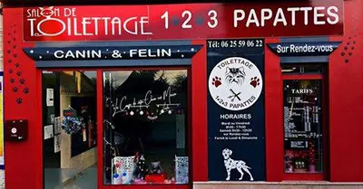1.2.3 Papattes