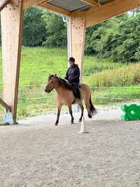 Ferme Équestre du Litli Hestur