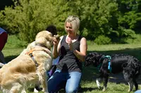 Nat & Dogs