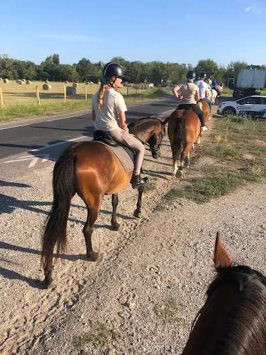 Centre de Tourisme Equestre le Cheval Andalou