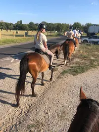 Centre de Tourisme Equestre le Cheval Andalou