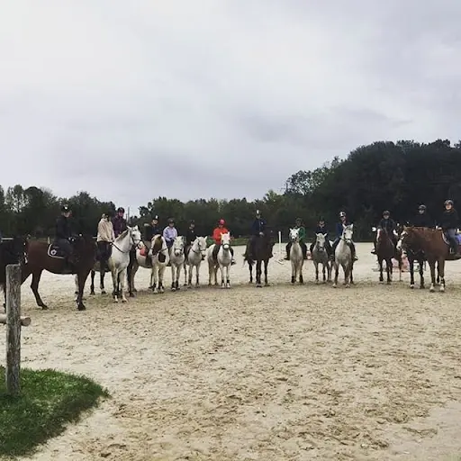 Formations Equines Rochefort Océan