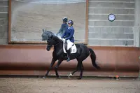 l'Ecurie de Saint Cyr