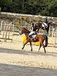 Association Centre Equestre de la Grenadiere