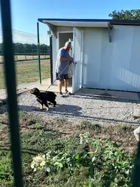 Pension de la Bresse (pension Canine)