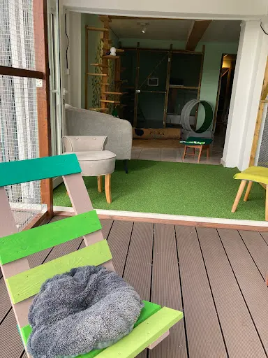 Pension Féline & Comportementaliste l'Arbre À Chats