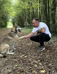 Dogs Education - Educateur Comportementaliste Canin À Saint-dizier et Haute-marne, 52