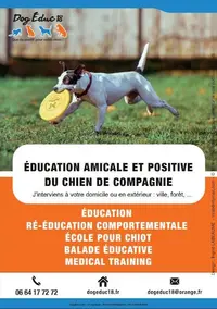 Dog Educ 18