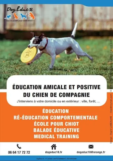 Dog Educ 18