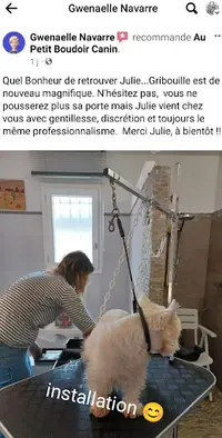 Au Petit Boudoir Canin