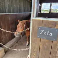 Ferme Equestre de Montecot