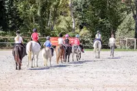 Le Cavaletti Nivernais