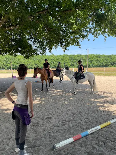 Bresneau Jump 