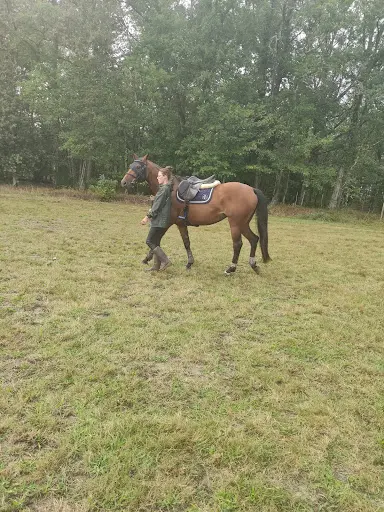 Elevage de Bresneau