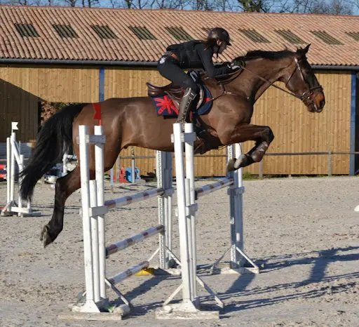 Merigaud Horseclub
