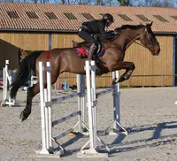 Merigaud Horseclub