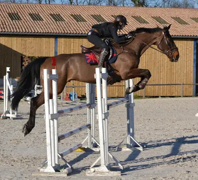Merigaud Horseclub