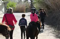 Assocation Saint Esteve Equitation