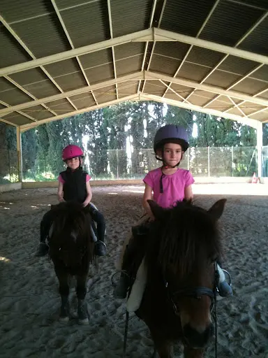 Centre Equestre Poney Club des Alpilles