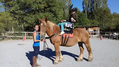 À Lure À Cheval - Centre Équestre au Pied de la Montagne de Lure