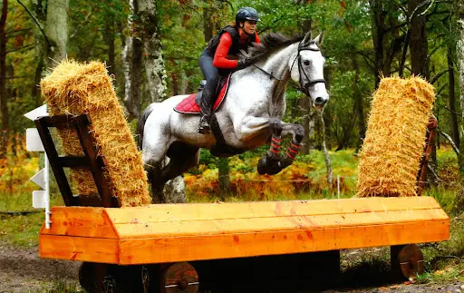 Ecuries du Grand Saphir