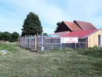 Pension Canine et Féline la Forêt du Lys