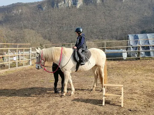 Les Chevaux de la Diamanterie