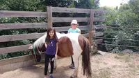 Équitation Haras de Volzac