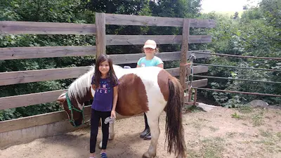 Équitation Haras de Volzac