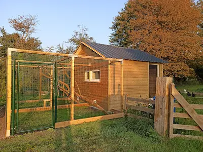 Au Bonheur des Chats : Pension Féline Pour Chats (manche 50 - Saint-floxel)