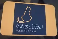 Chat À l'Or