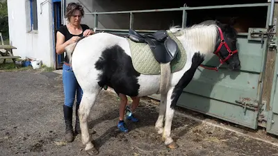 Association Ferme Pédagogique et Equestre