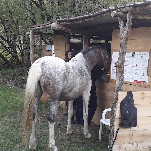 Cheval Nomad 