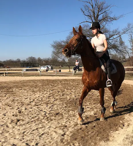 Poney Club du Forez