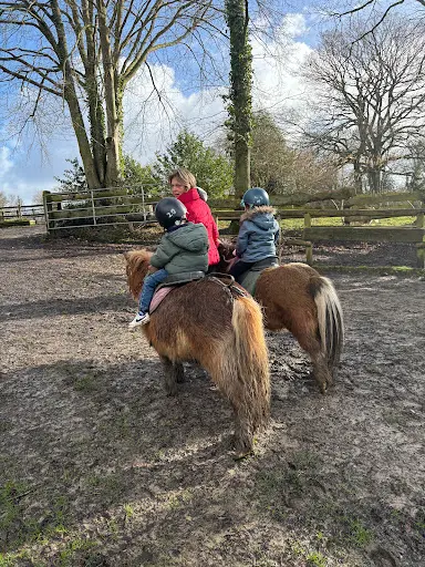 Poney Club des Galopins
