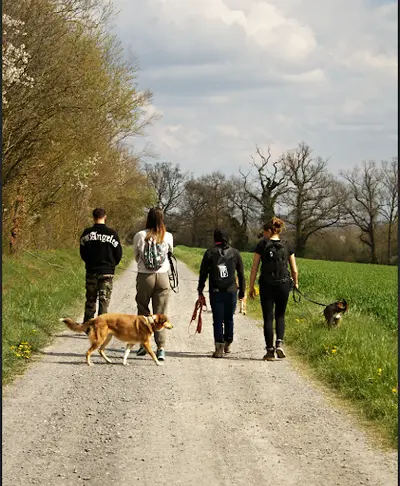 Eki Compagnie - Education Canine & Pet-sitting