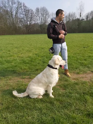 Odyssée des Canins