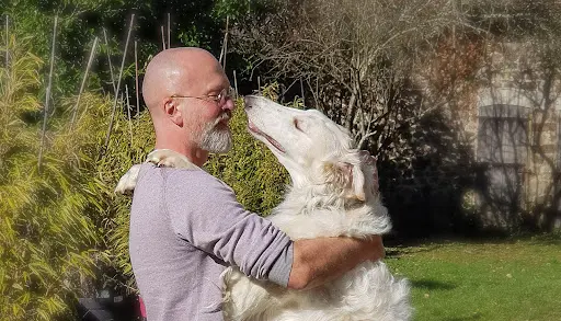Dog Yours | Sébastien Cabirol - Comportementaliste Canin Reconnu À Limoges et en Haute Vienne, 87