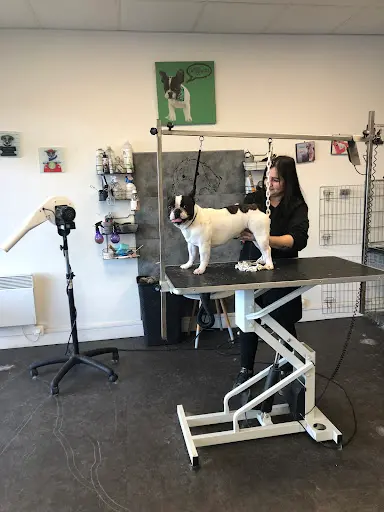 Séduction Canine