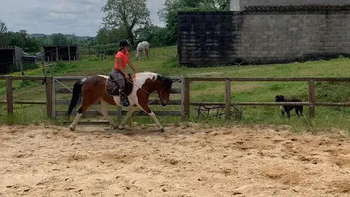 En Tet À Tete - Equitation Complice